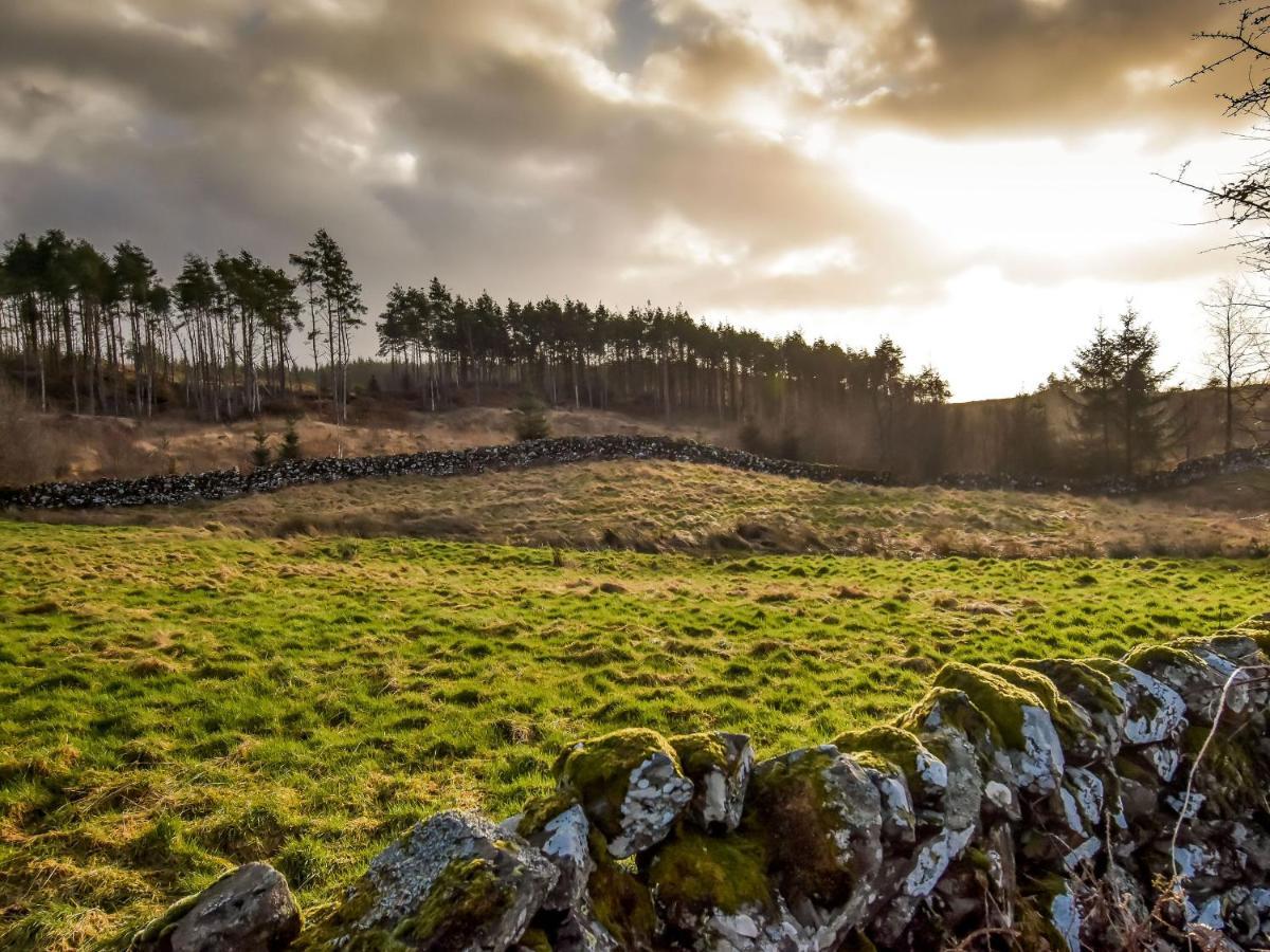 Borgan Cottage Newton Stewart Εξωτερικό φωτογραφία
